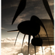 Image for article titled Shooting Challenge: Cellphone Gallery Part 4
